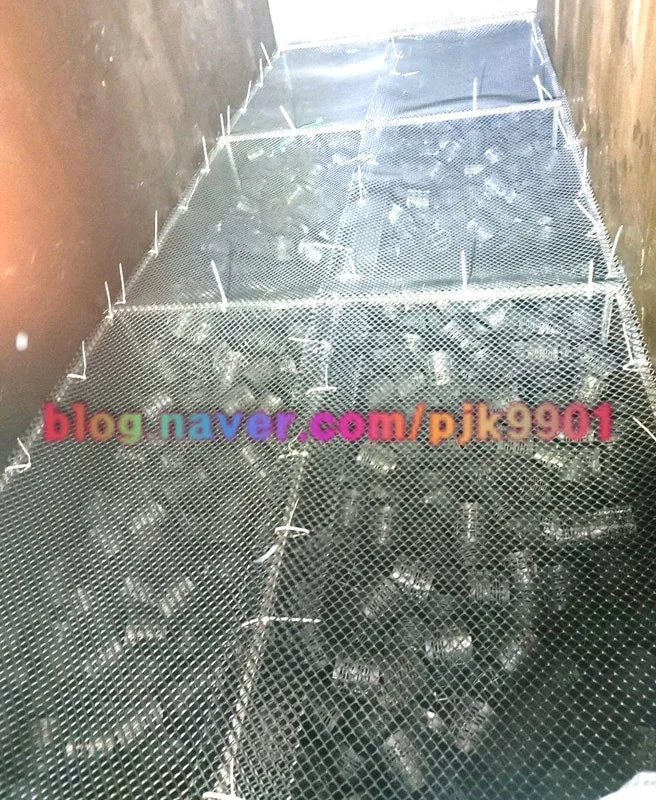 유동상 여재 설치 후